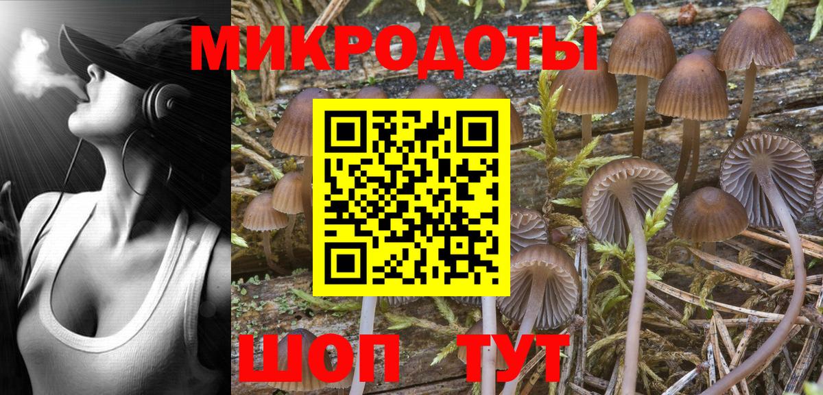 Псилоцибиновые грибы Magic Shrooms Ногинск