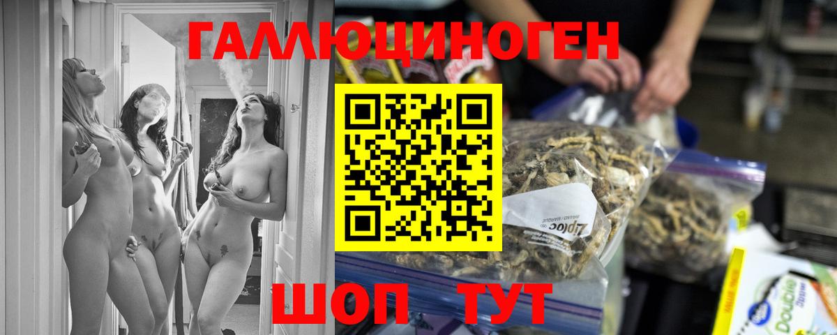 Ногинск  наркотики  Вход с VPN  Галлюциногенные грибы Cubensis 